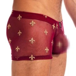 Boxer L Homme Invisible Charlemagne MY14CLM -Magasin De Lingerie De Mode Boxer hi MY14CLM rouge 4