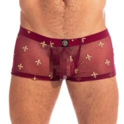 Boxer L Homme Invisible Charlemagne MY14CLM
