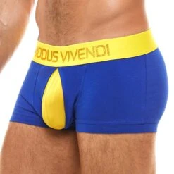 Boxer Modus Vivendi Secret Pleat 03121 -Magasin De Lingerie De Mode Boxer modus 03121 bleu 4