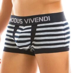 Boxer Modus Vivendi Stripped 11921 -Magasin De Lingerie De Mode Boxer modus 11921 gris 4