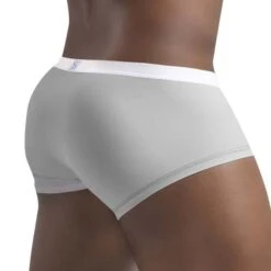Shorty ErgoWear SLK EW1377 -Magasin De Lingerie De Mode Shorty ergo EW1377 gris 3