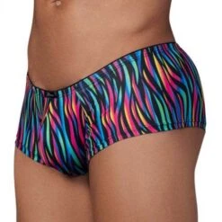 Shorty Xtremen Disco Zebra 91147 -Magasin De Lingerie De Mode Shorty xtremen 91147 noir 4
