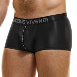 Boxer Modus Vivendi Flashy 19321 -Magasin De Lingerie De Mode boxer modus 19321 noir 4
