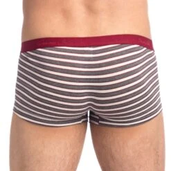 Shorty L Homme Invisible Ruby & Graphite MY39RUB -Magasin De Lingerie De Mode short hi my39rub raye 3