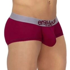 Shorty ErgoWear MAX MESH EW1217 -Magasin De Lingerie De Mode shorty ergo EW1217 bordeau 4